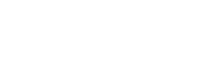 Vision Smart
